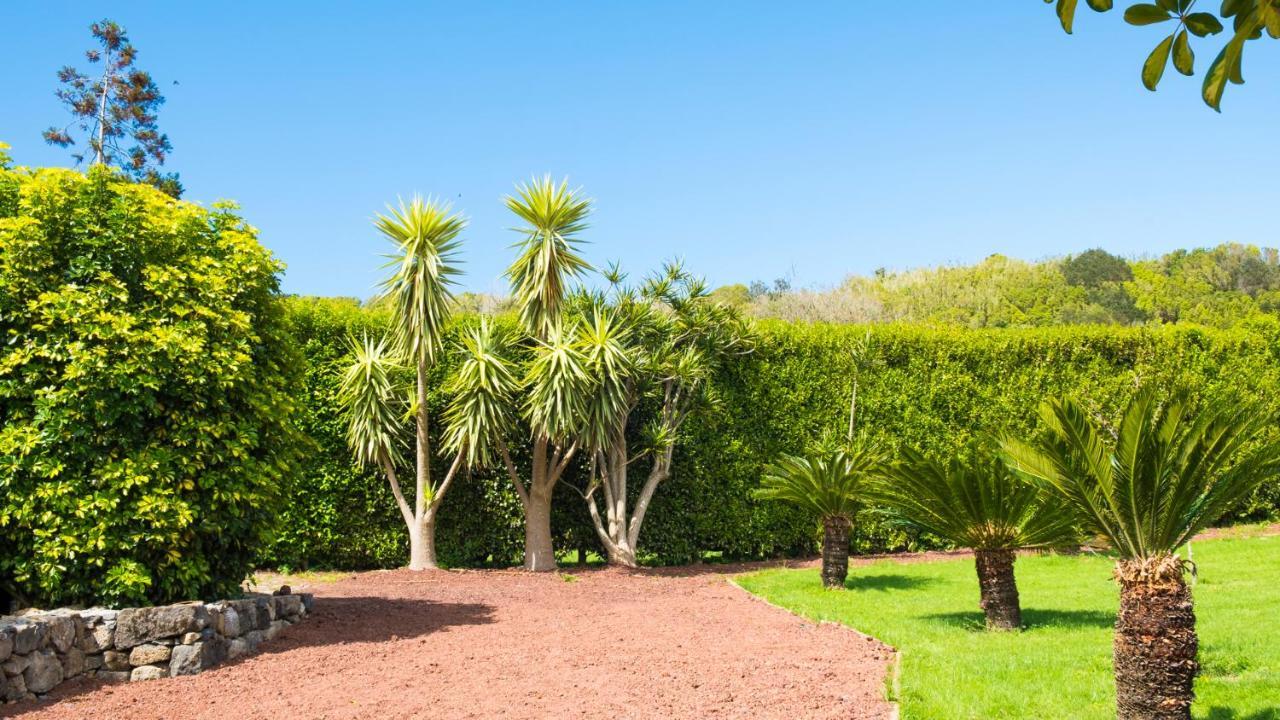 דירות הורטה Quinta Do Torcaz מראה חיצוני תמונה