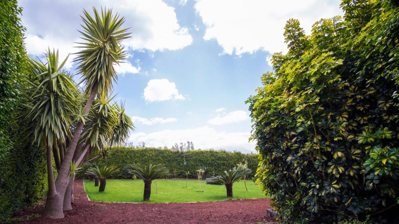 דירות הורטה Quinta Do Torcaz מראה חיצוני תמונה